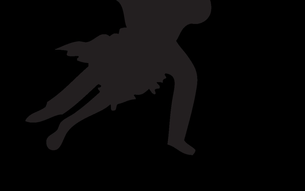 Silver Dance Studio — Jacksonville