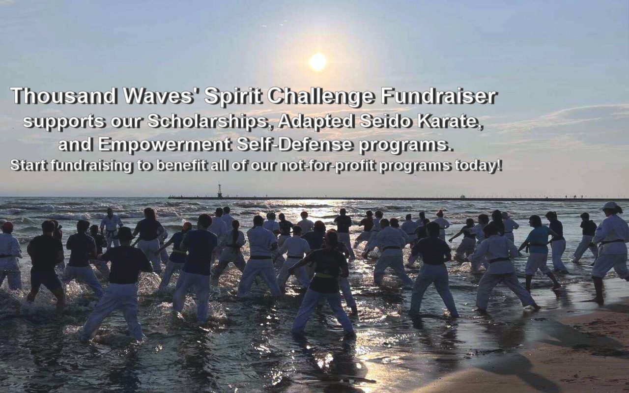 Thousand Waves Martial Arts & Self-Defense Center, NFP — Chicago