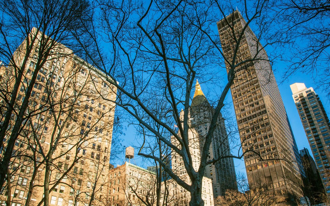 sociedAD — New York