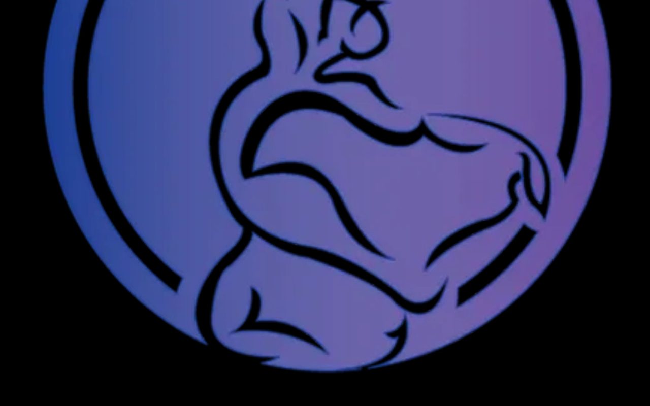 Progressive Dance Studio — Englewood