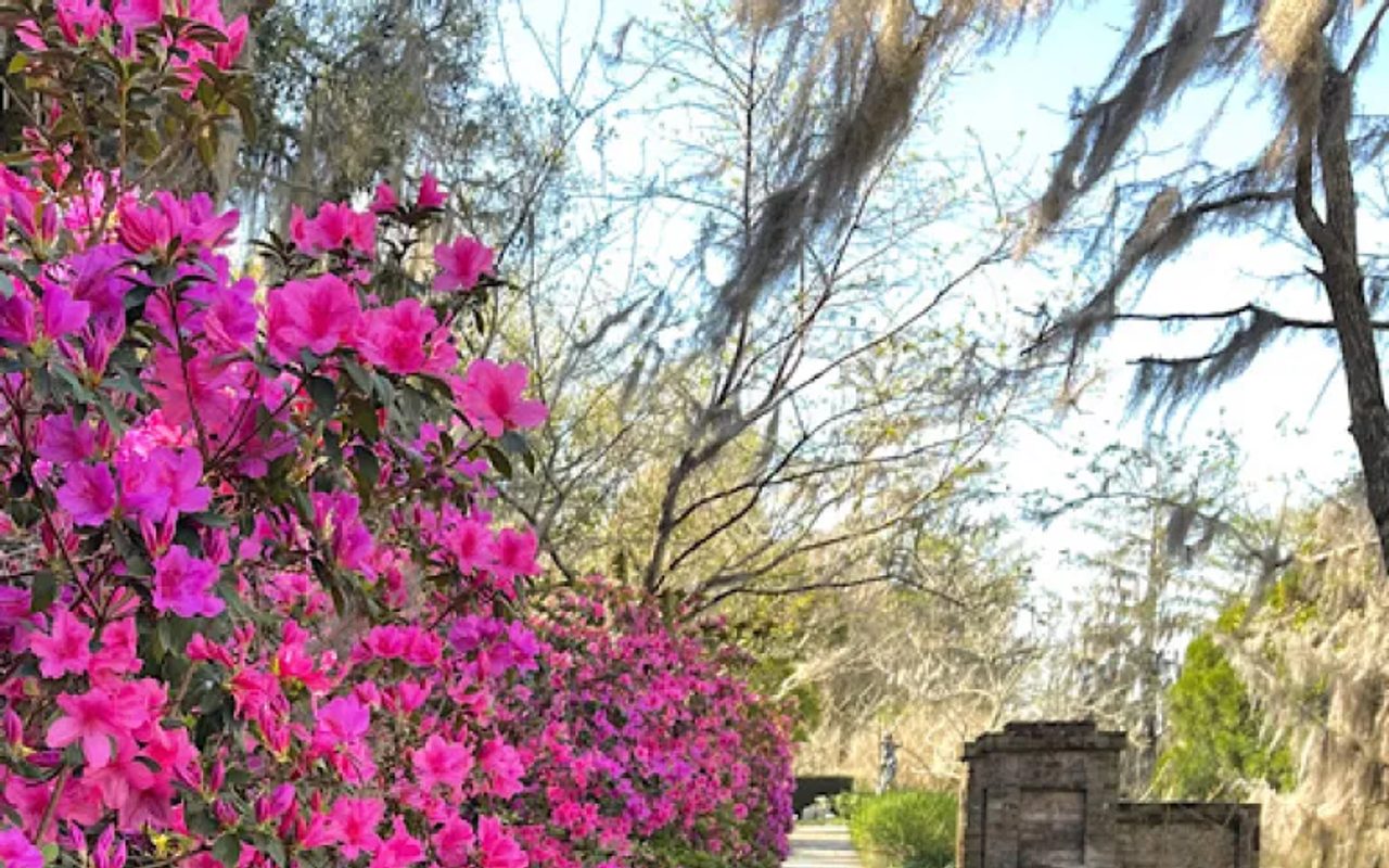 Brookgreen Gardens — Murrells Inlet