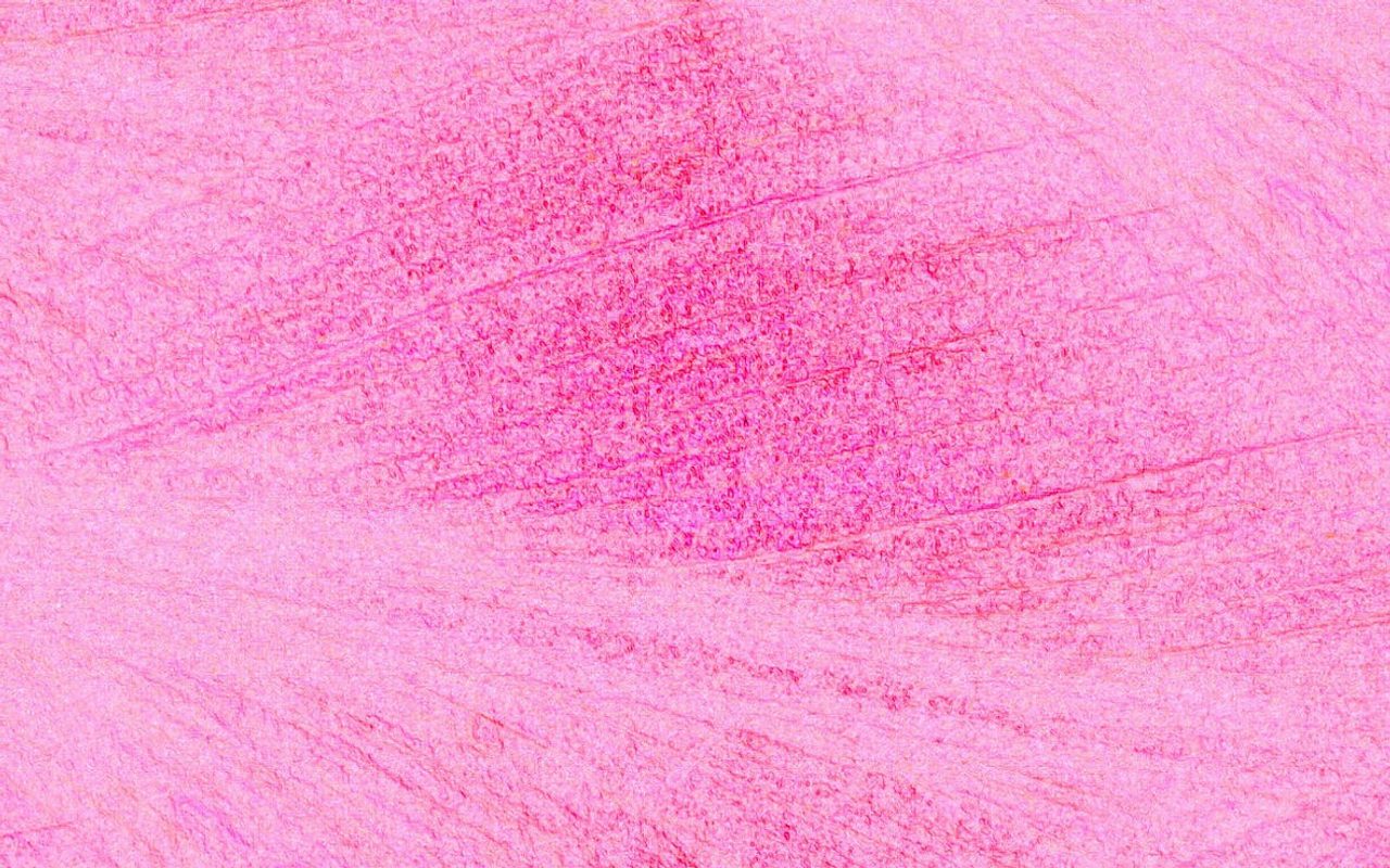 Cha-Cha ChiC — Phoenix