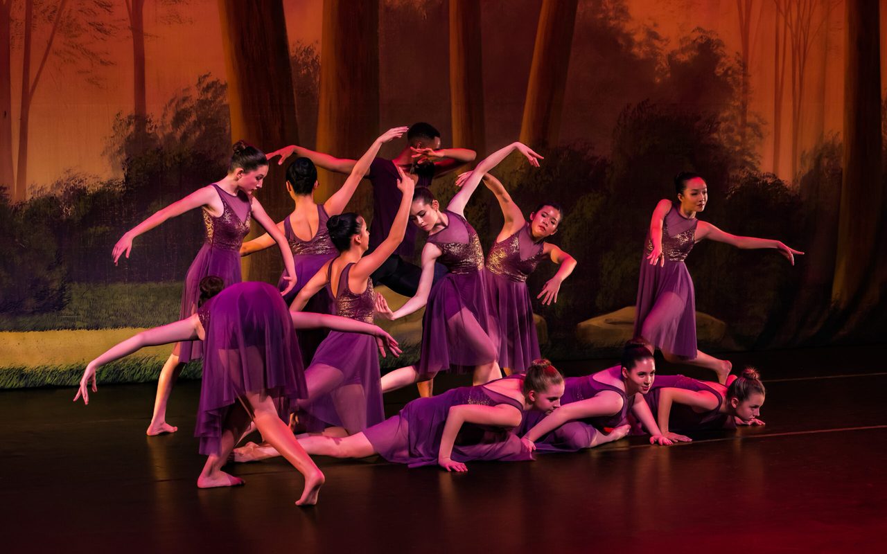 Metamorphosis Dance Academy — Austin