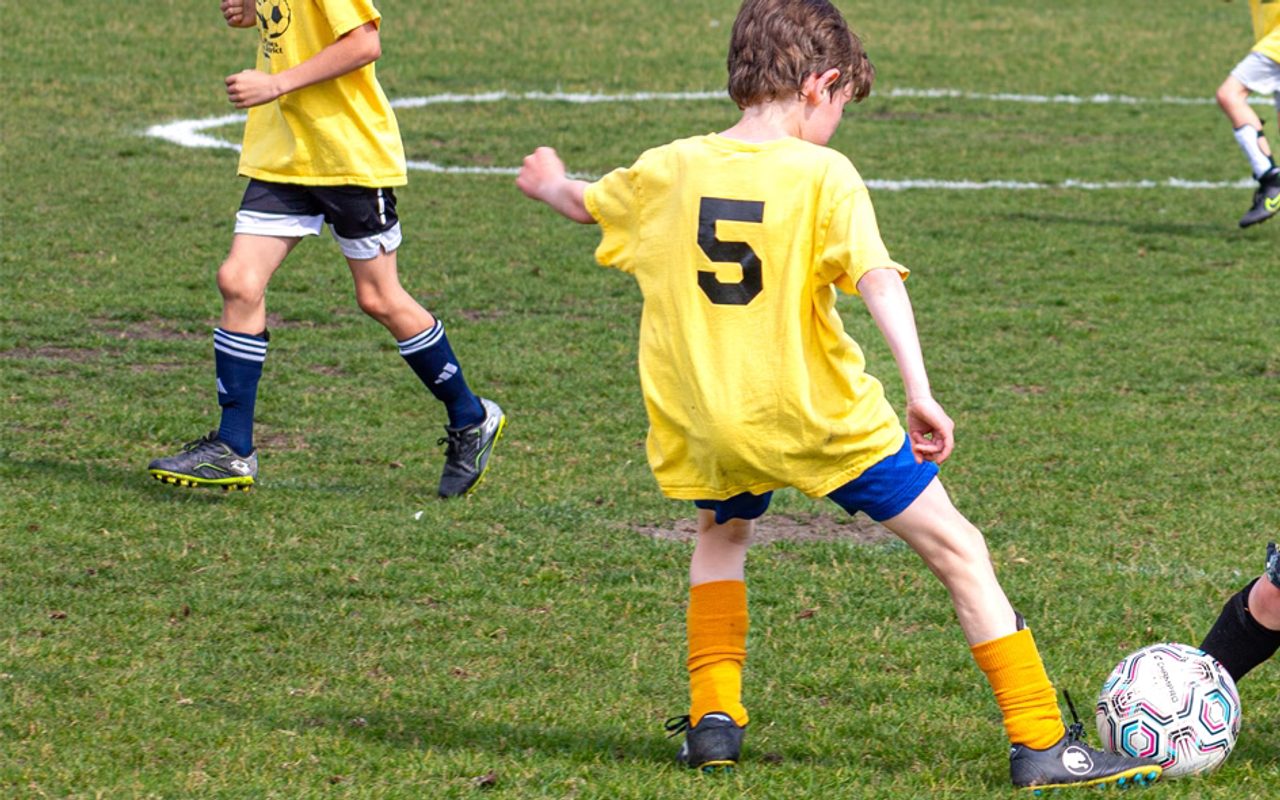 Des Plaines Park District — Des Plaines