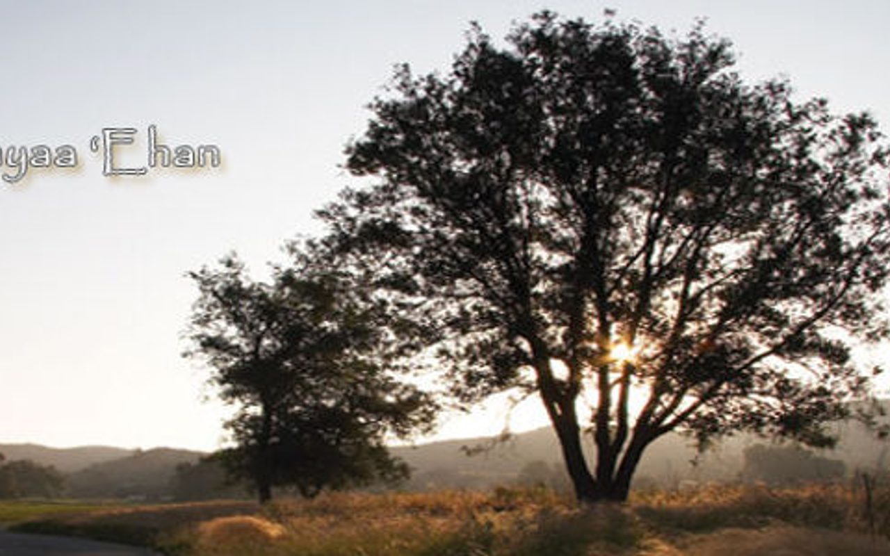 Barona Band of Mission Indians — Lakeside