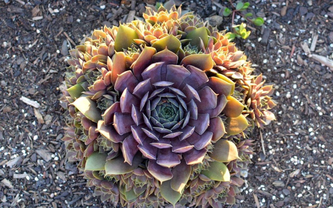 Maddie Bird Media — Philadelphia