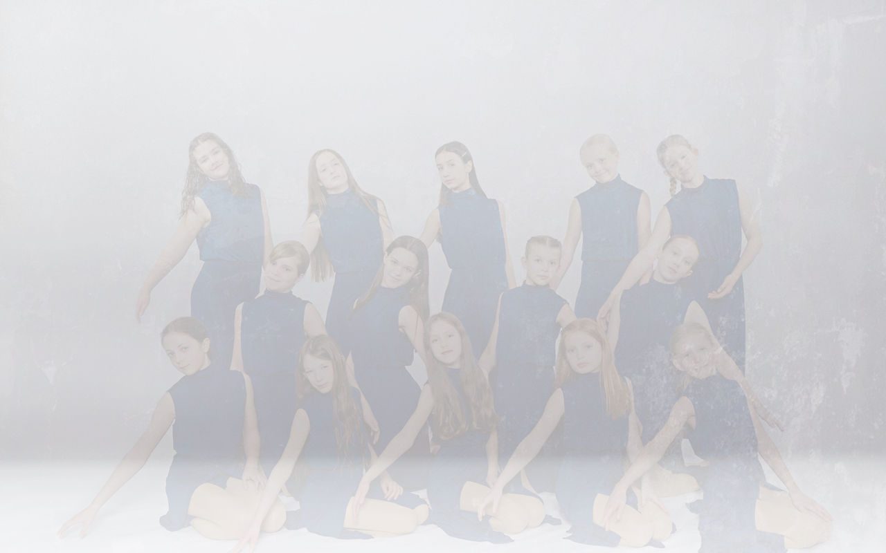 Celebrate! Dance Academy — Arden Hills