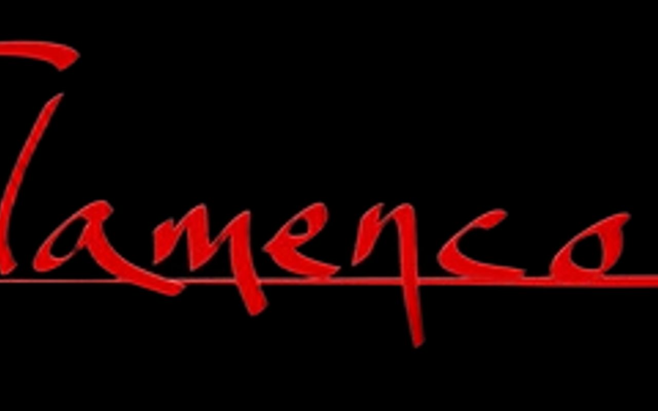 Solero Flamenco LLC — Houston