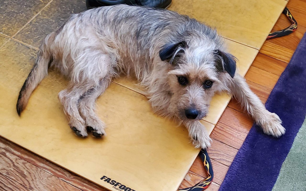 Tap Dance Denver — Denver