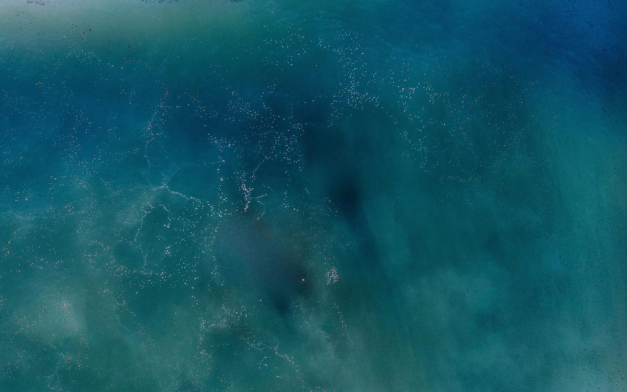 Clarion Performing Arts Center — San Francisco