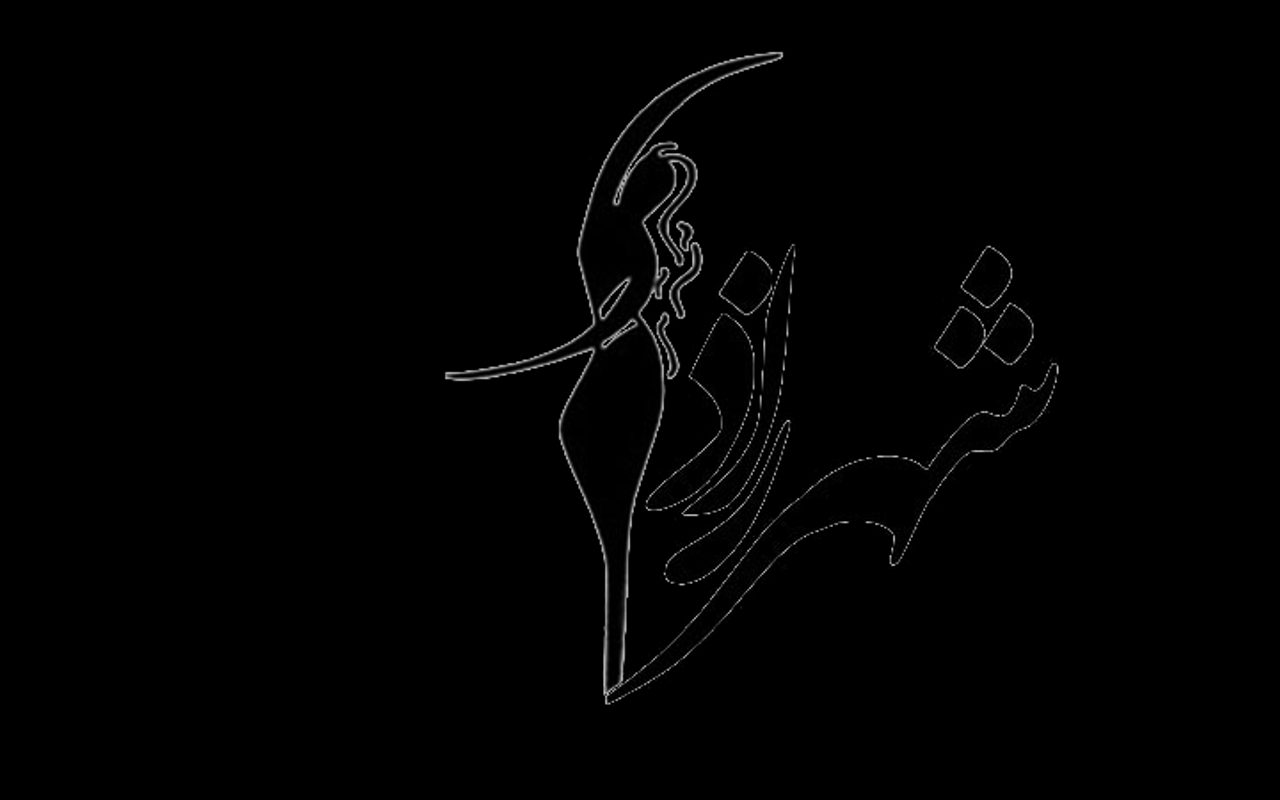 SHAHRZAD DANCE ACADEMY — Richmond