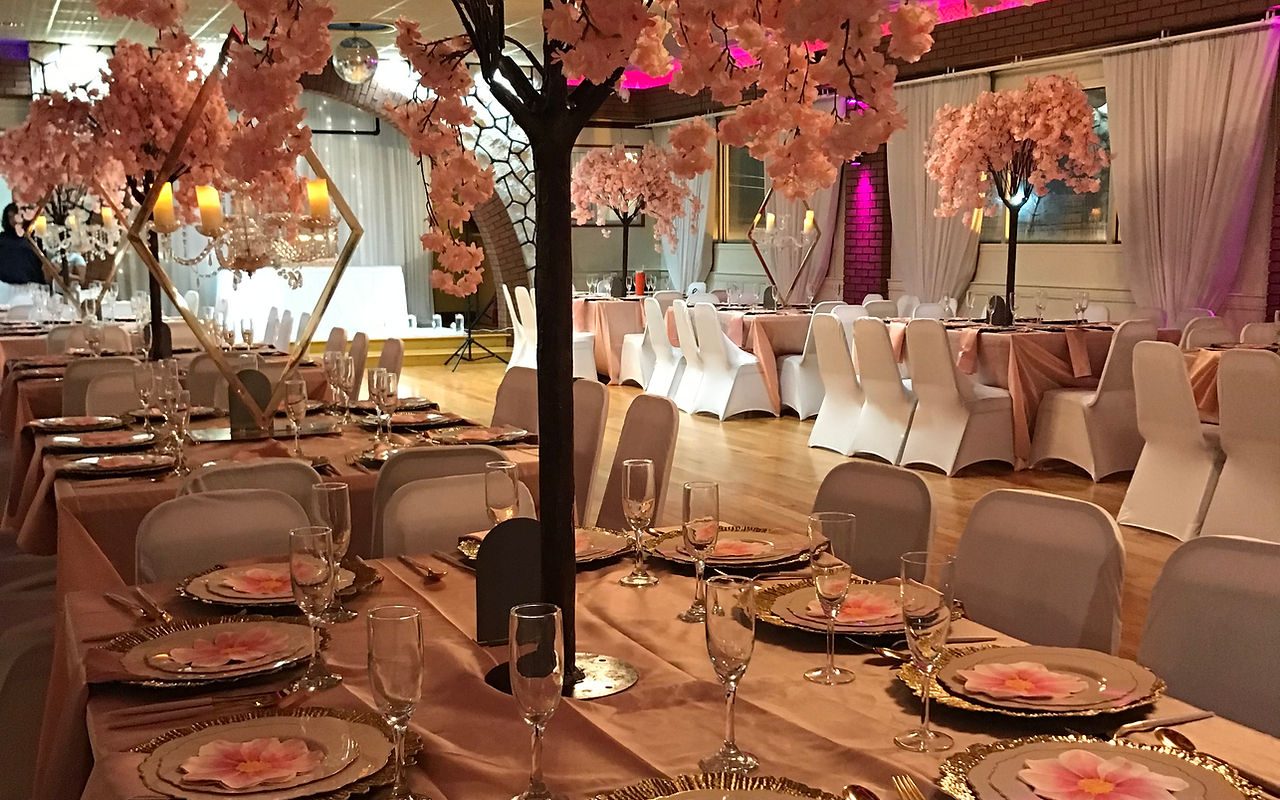 1 Vibe Events — Tempe