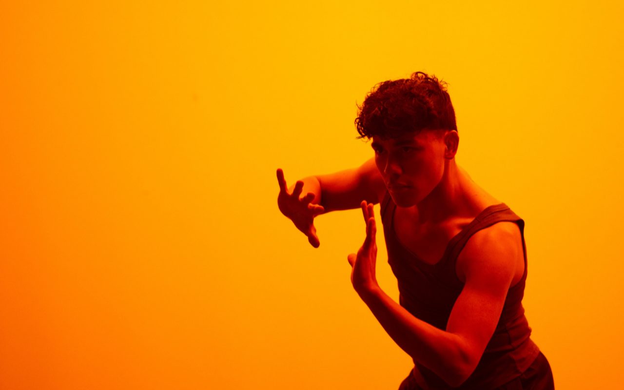 PROJECT MOVES DANCE COMPANY INC — Brockton