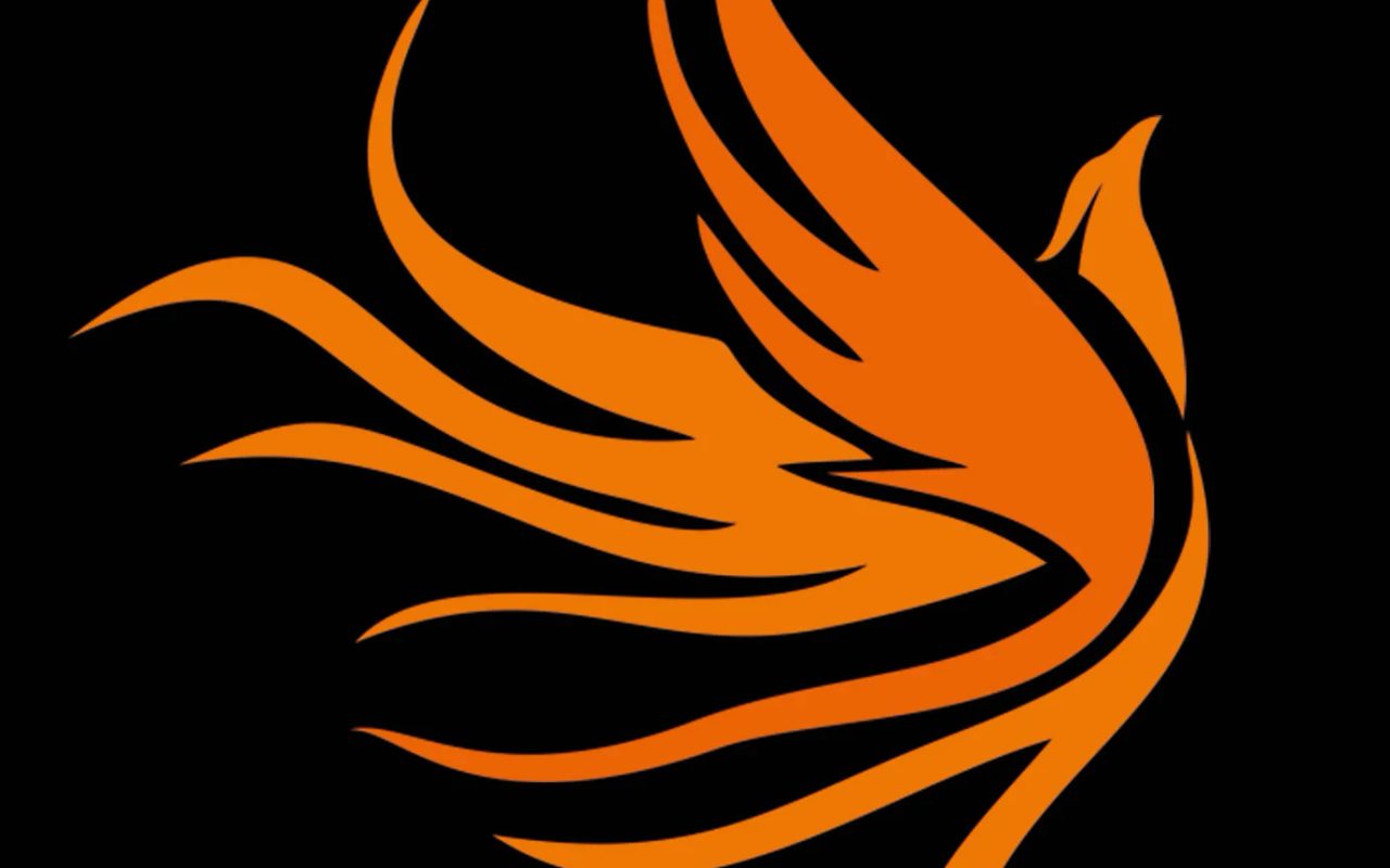 Phoenix Chinese Dance Academy — Minneapolis