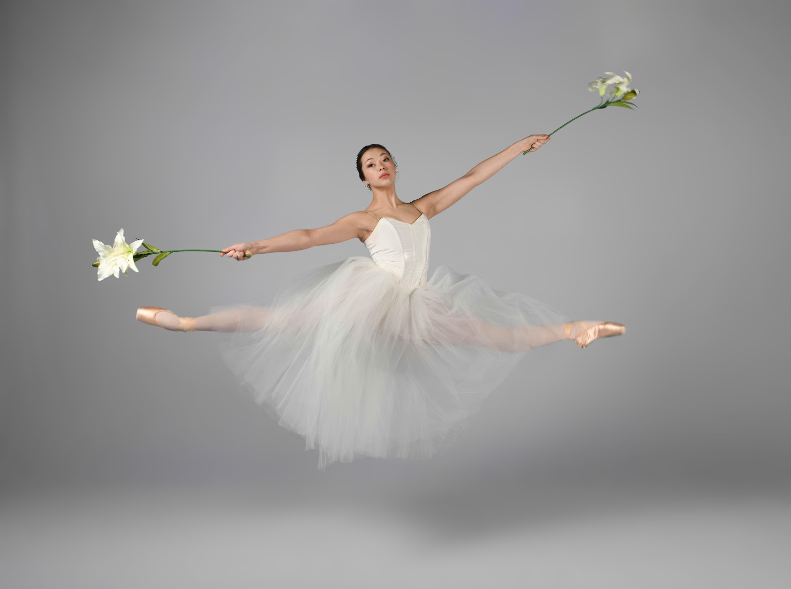 New Haven Ballet — New Haven