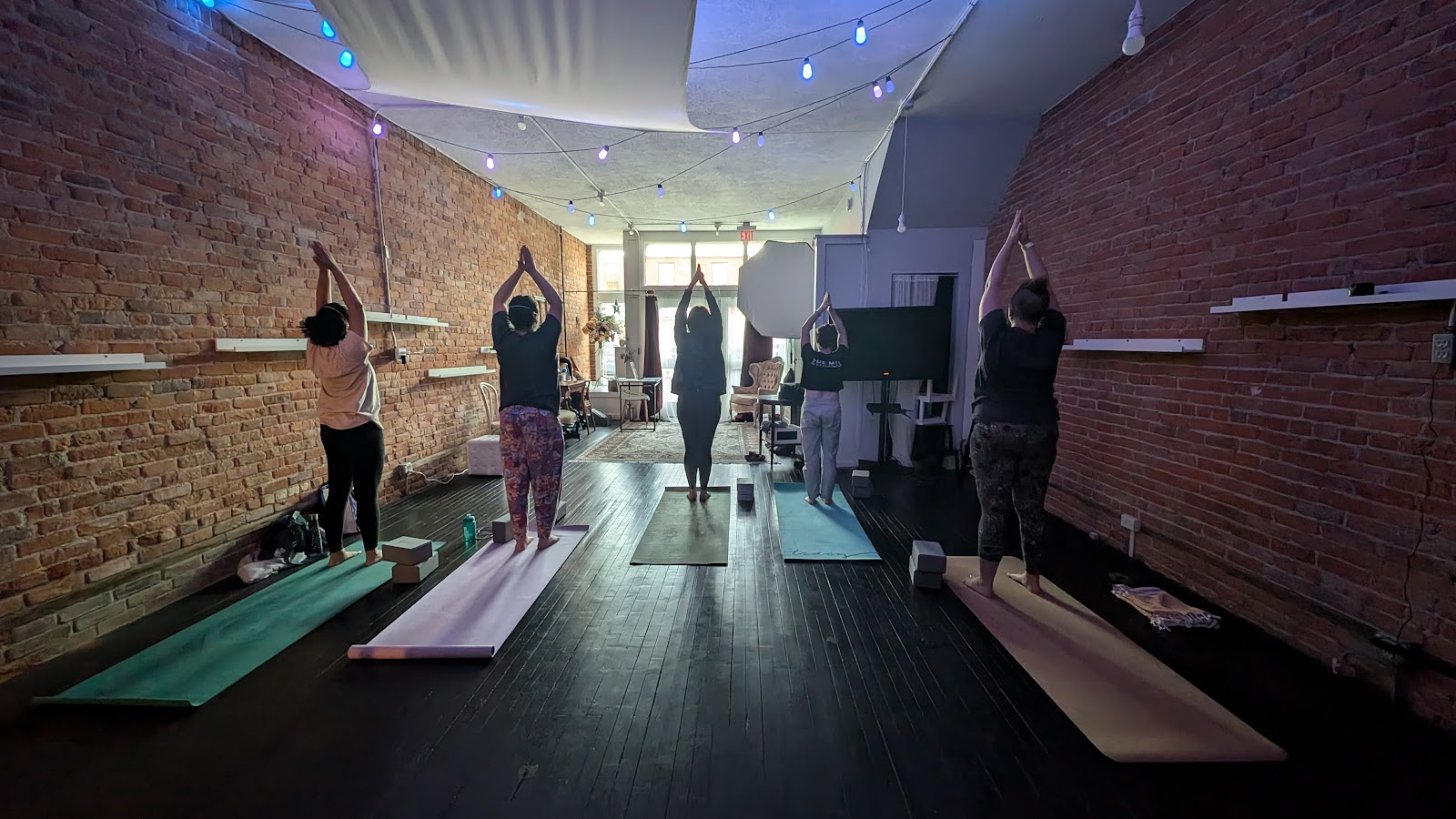 Rhizome Roots Studio — Ypsilanti