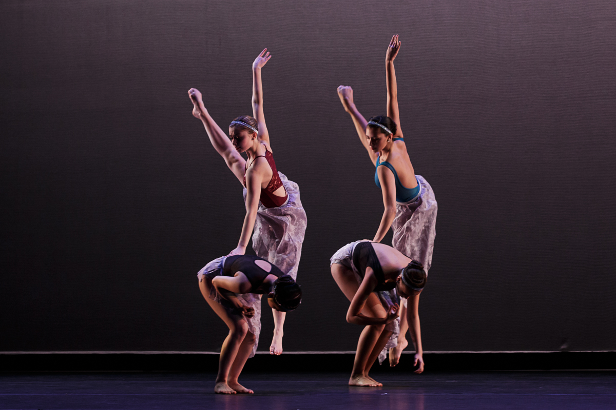 Delaware Dance Company — Newark