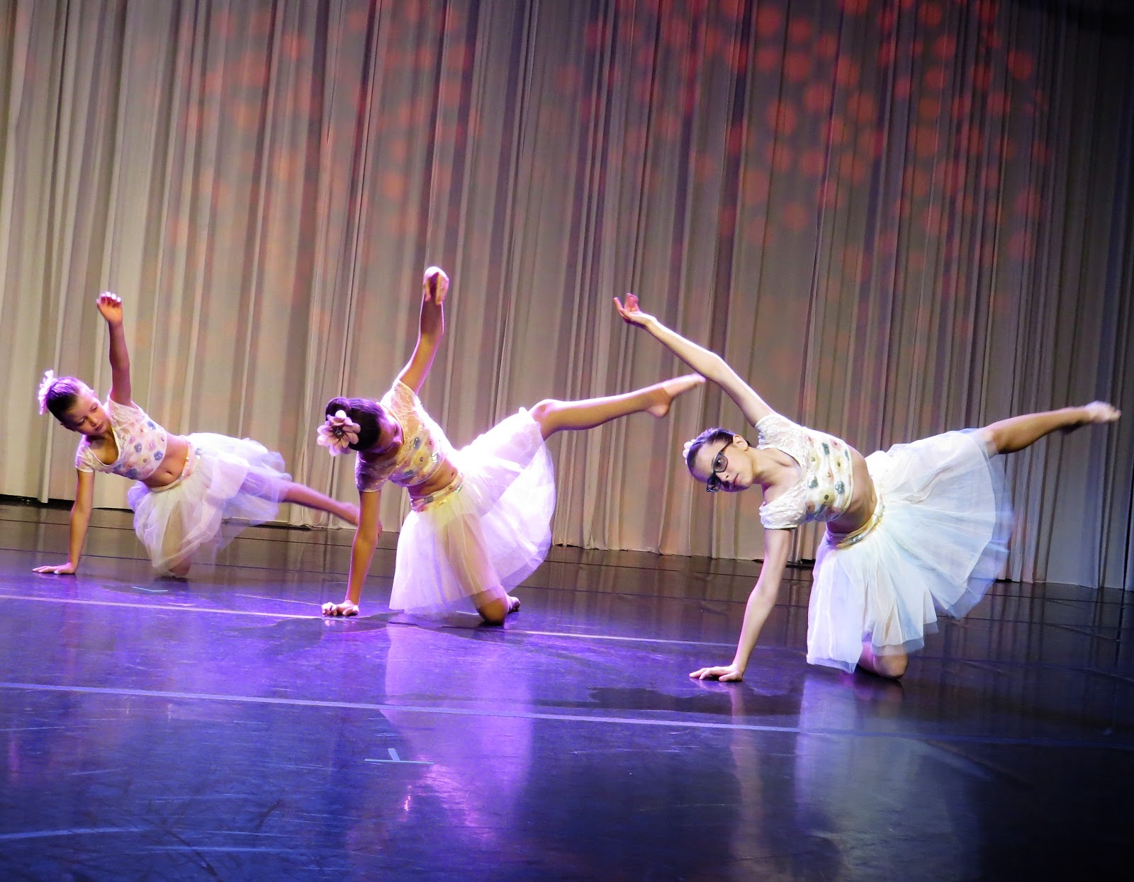 Dance and Circus Arts of Tampa Bay — Clearwater