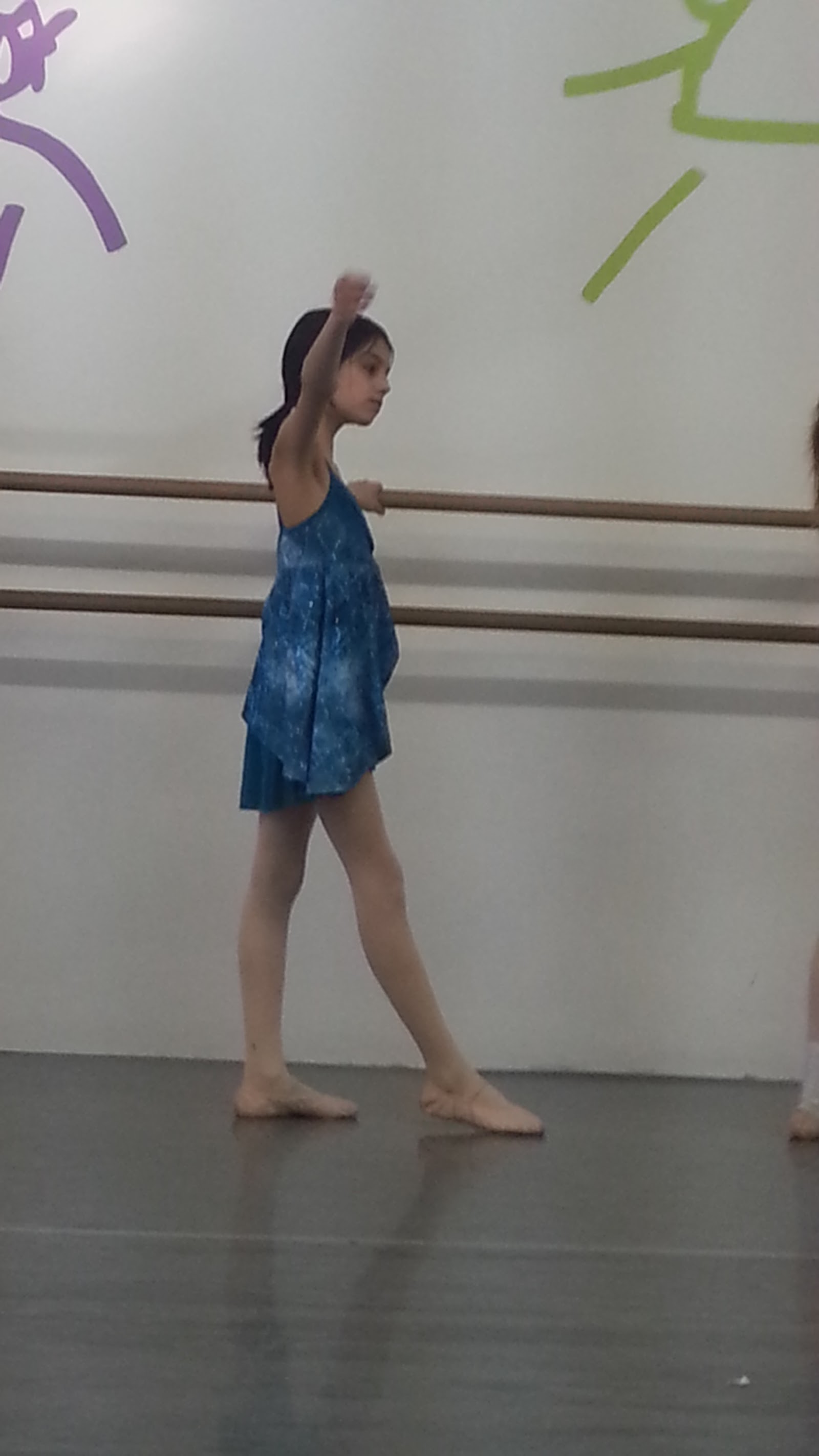 Rising Star Studio of Dance Arts — Lansing