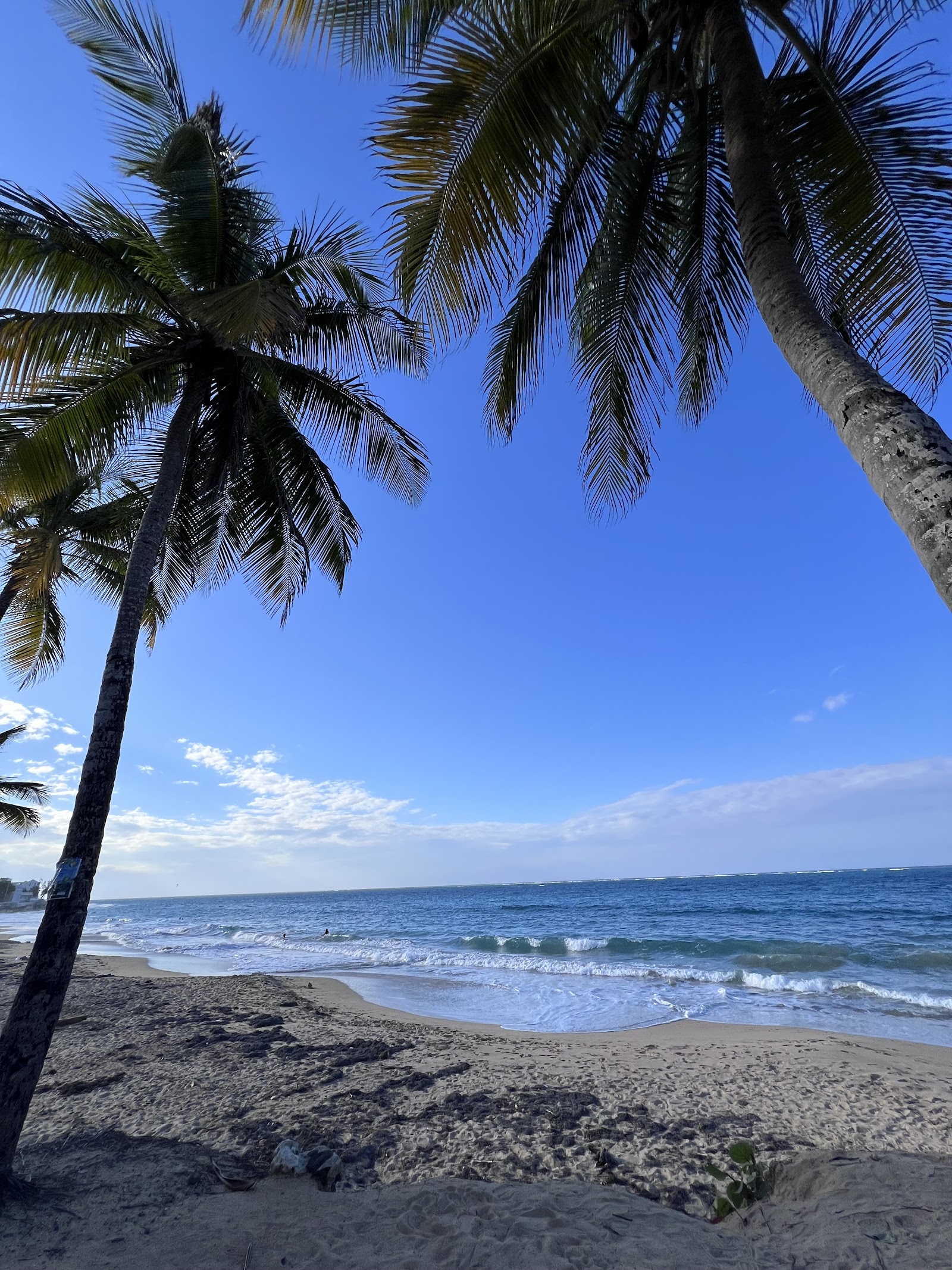 Salsa Tours PR LLC. — San Juan