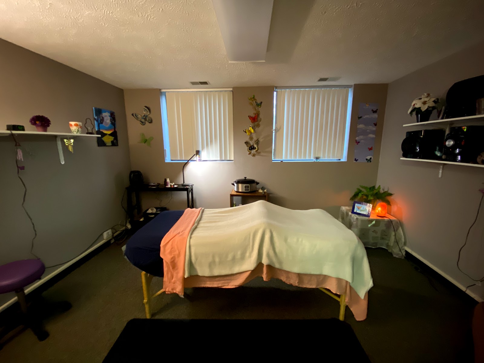 Holistic Butterfly Studio — East Lansing