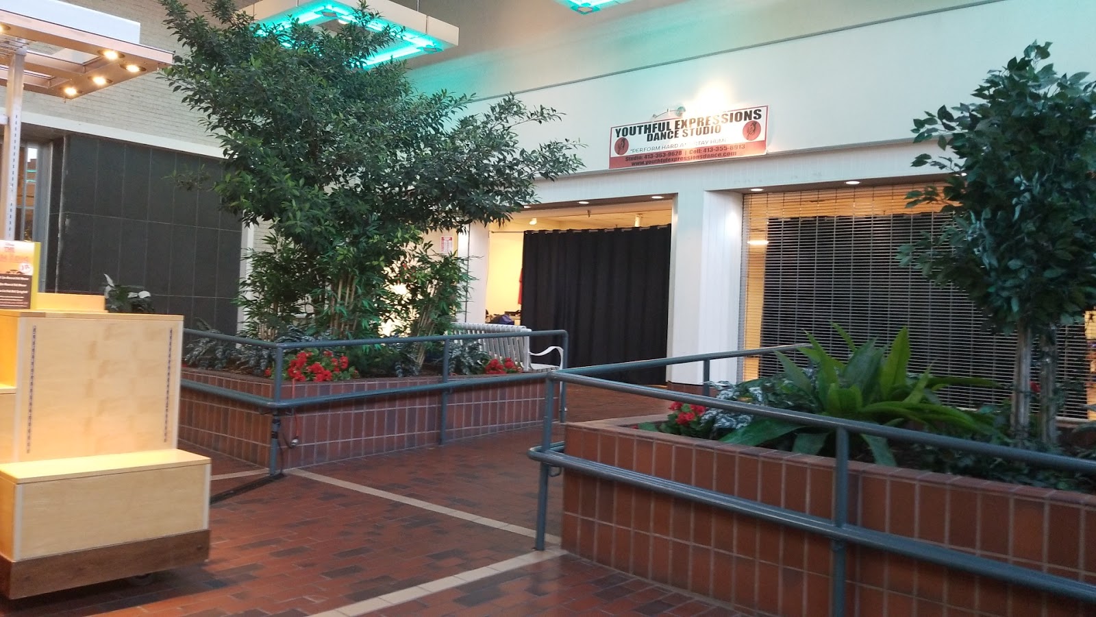 Youthful Expressions — Springfield