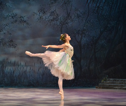 Ballet Palm Beach — Palm Beach Gardens