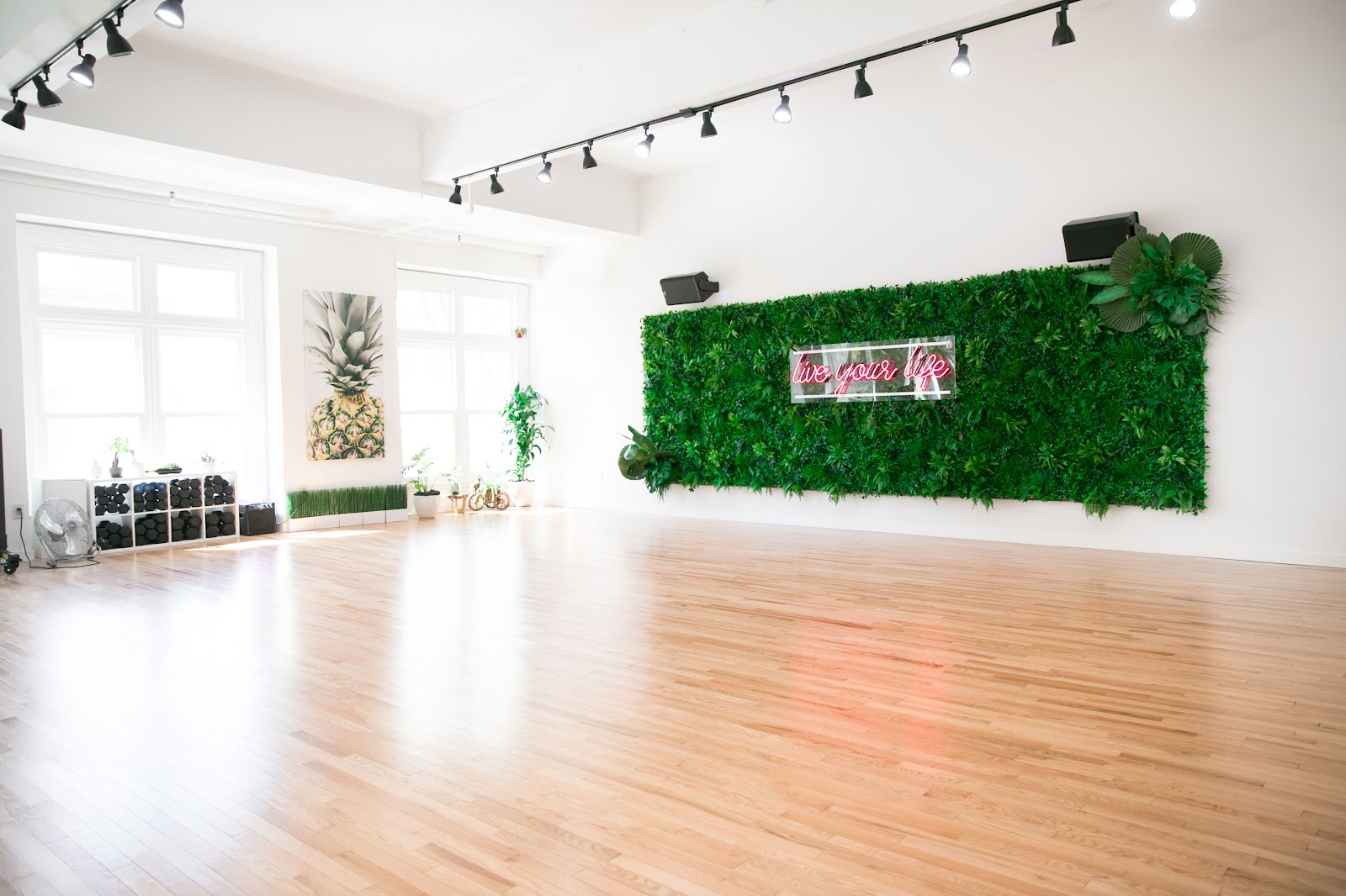 Rae Studios | San Francisco Dance & Fitness Studio — San Francisco