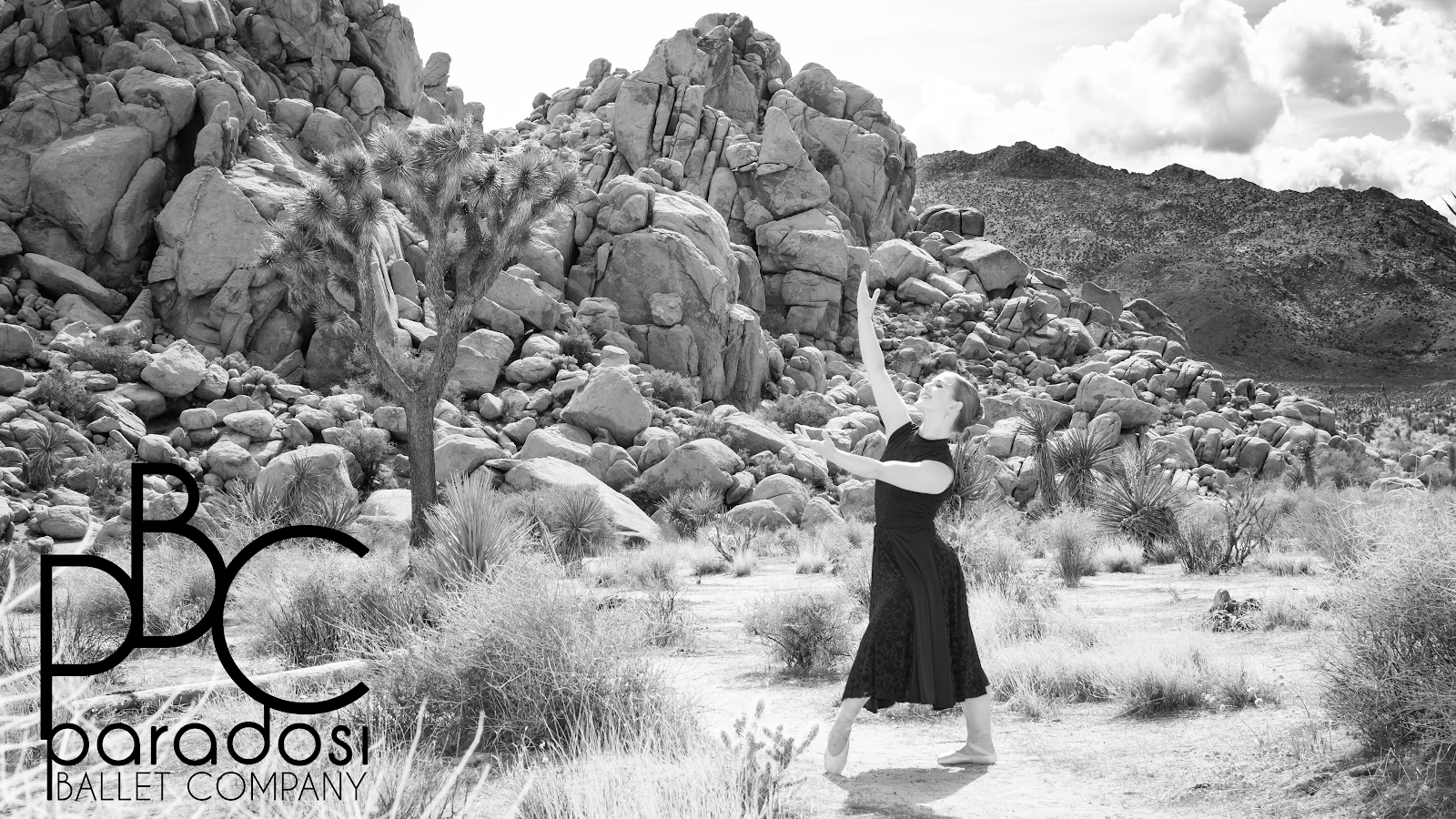 Paradosi Ballet Company — Tacoma