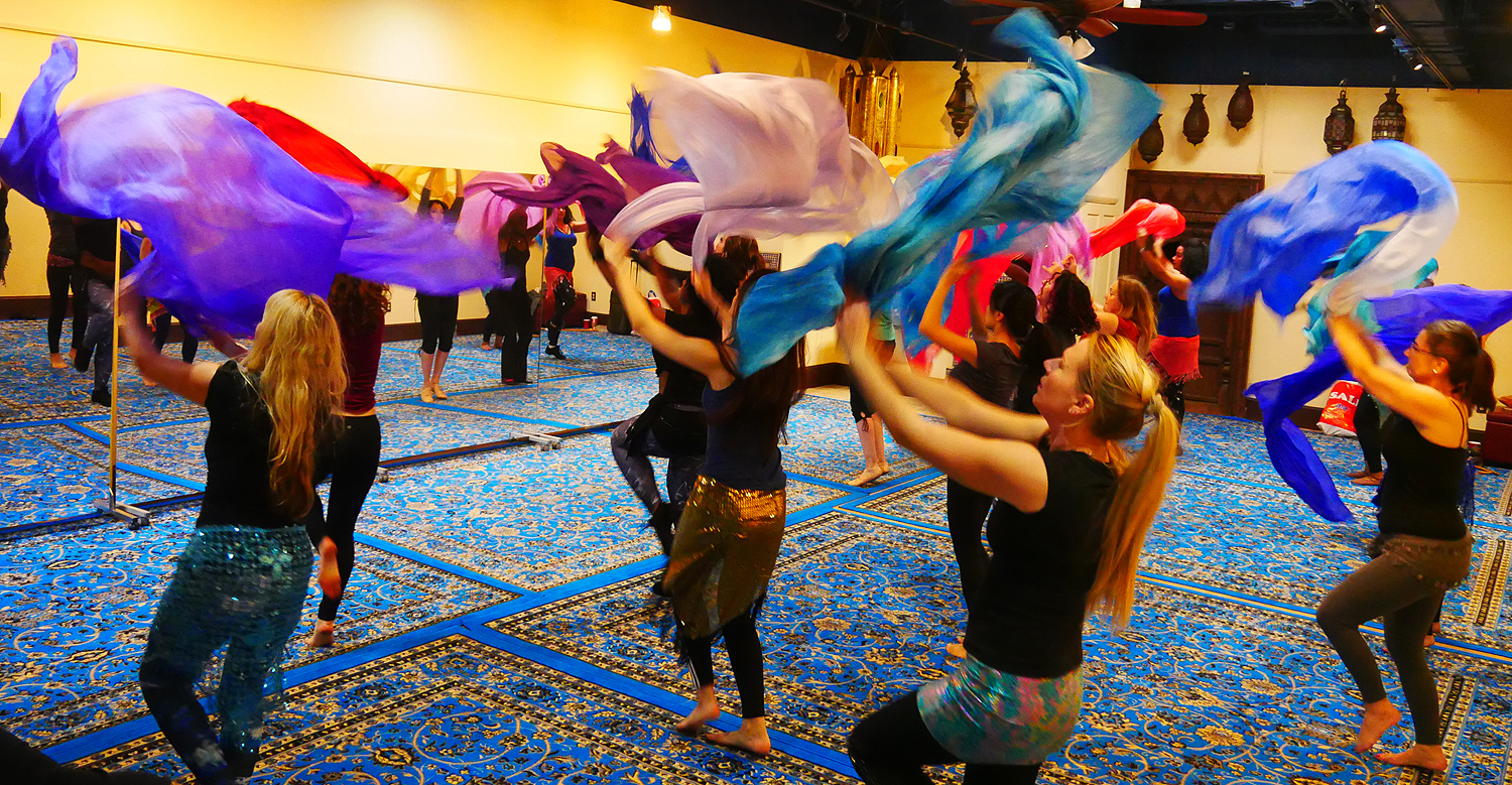 Serpentine Dance Studio — Bethesda