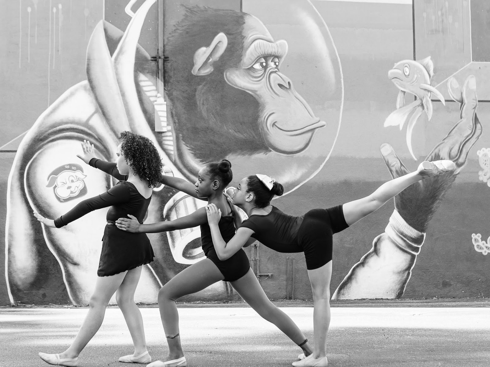 Studio B Dance Company LLC — Tallahassee