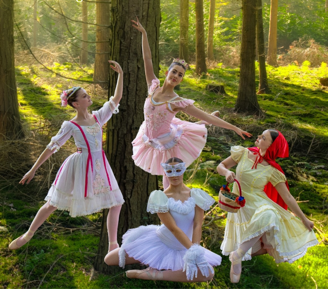 Sovereign Ballet — Erie