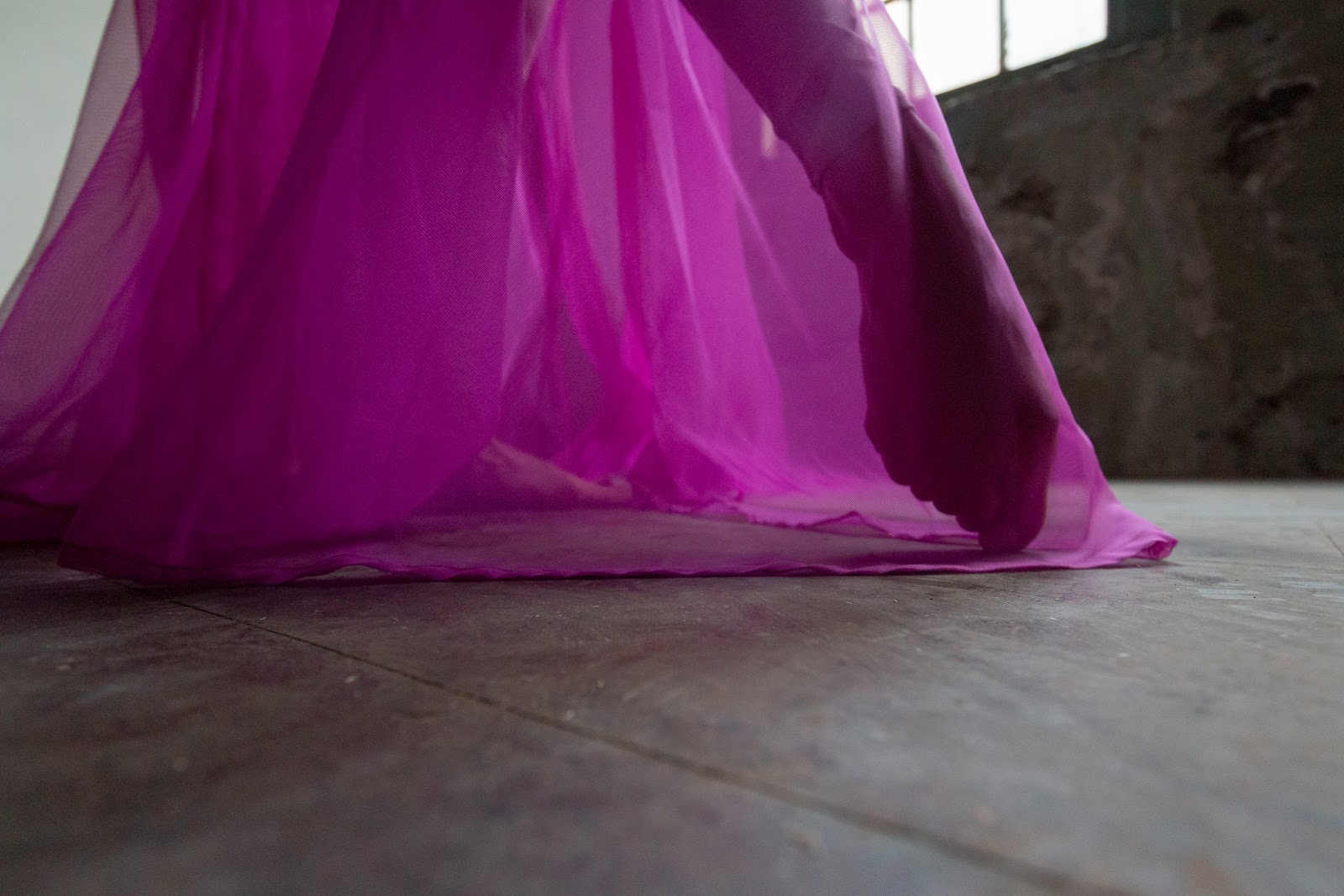 Seiche Dance Collective — Erie