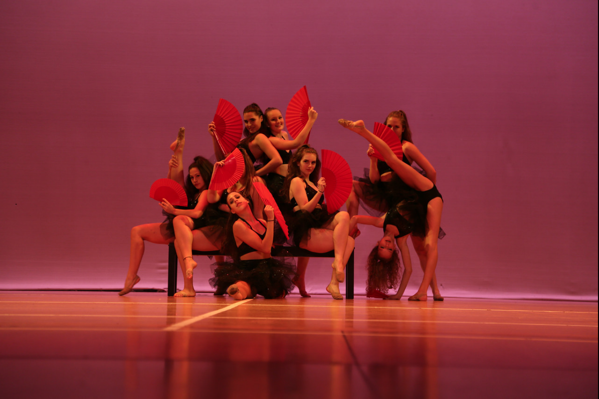 The Dance Collective — Norwalk