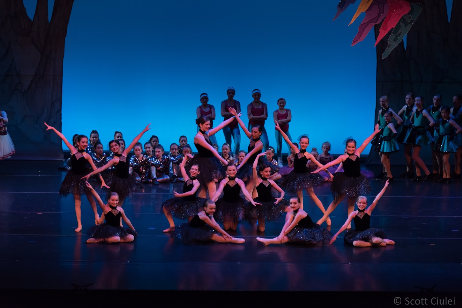 Columbus DanceArts Academy — Dublin
