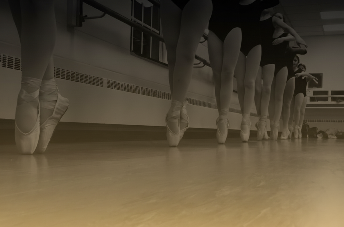 Dance Arts Studio & Center for Performing Arts — De Witt