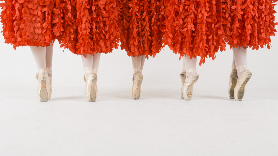 Treasure Valley Ballet Academy — Meridian