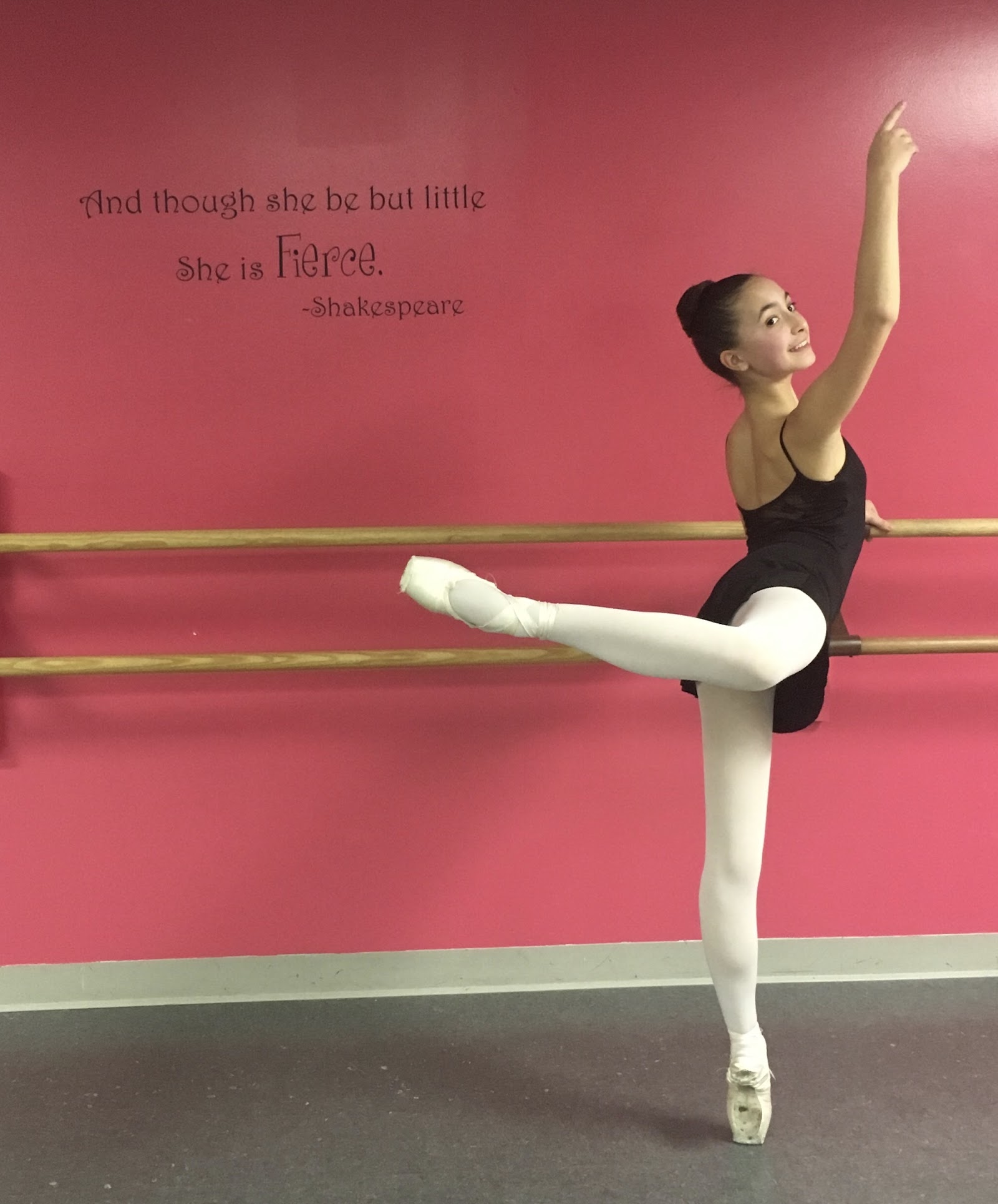 The Dance Academy — Severna Park