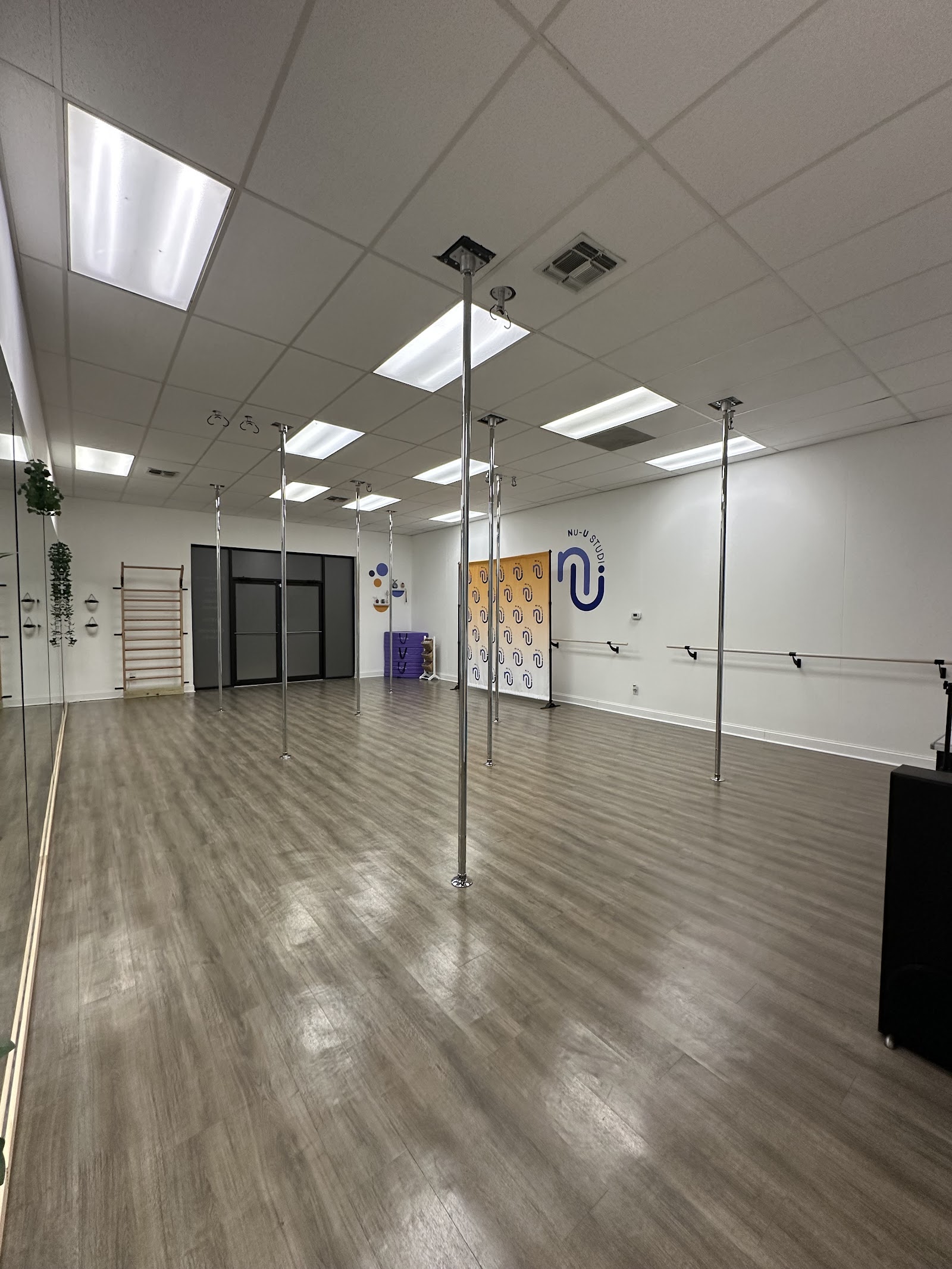 Nu-U Studio by Pole & Performance, LLC — Austin