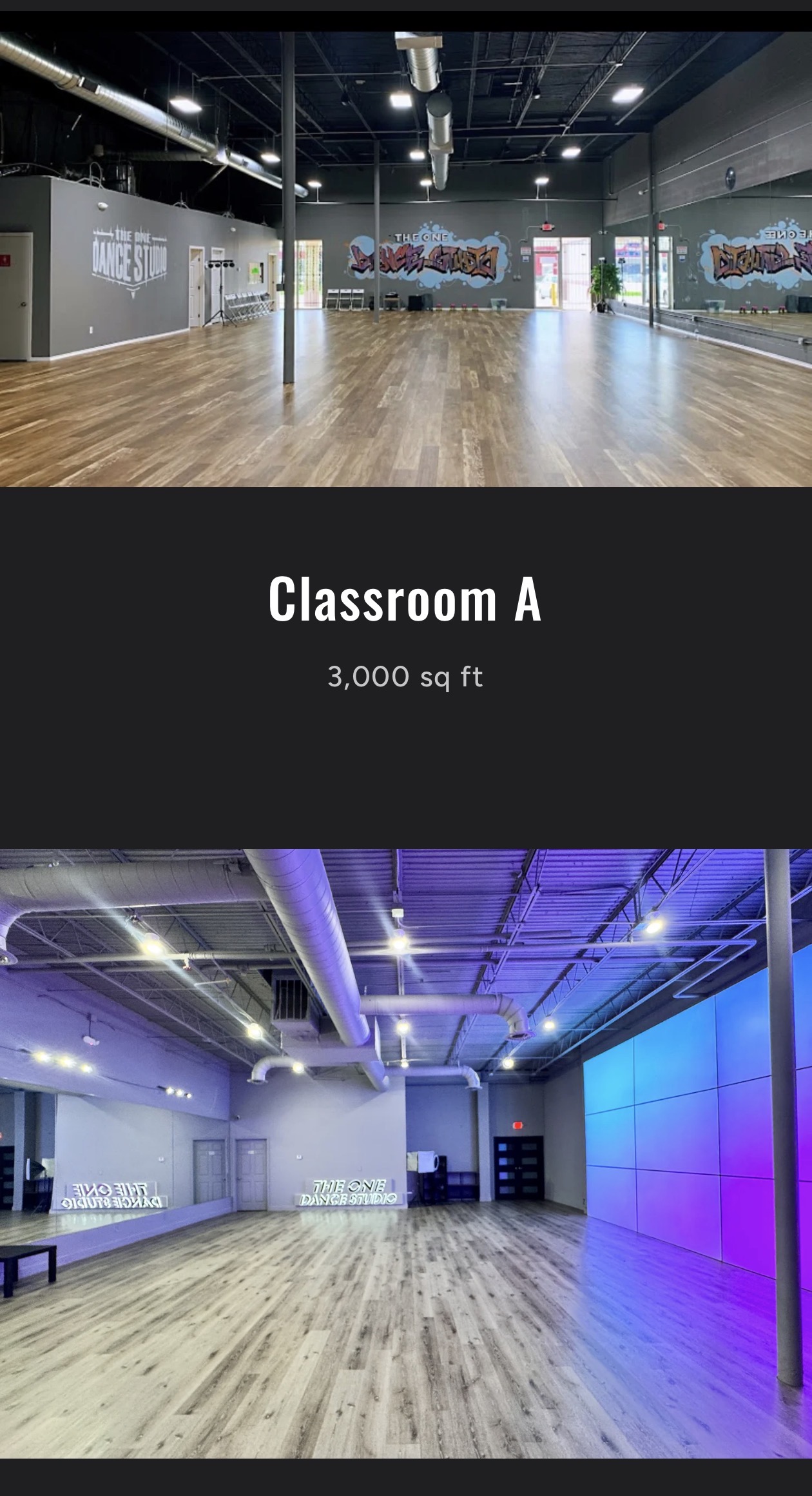 The One Dance Studio — Houston