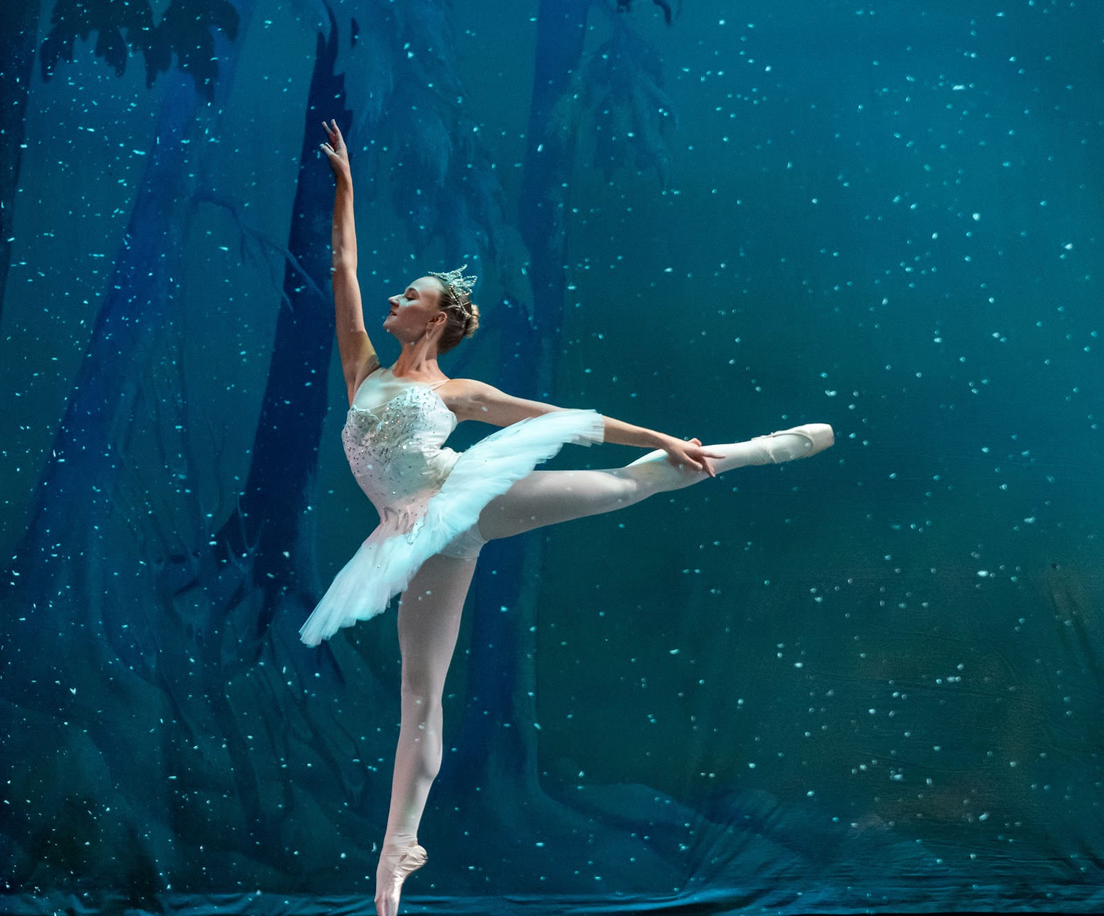 Lexington Ballet Company — Lexington