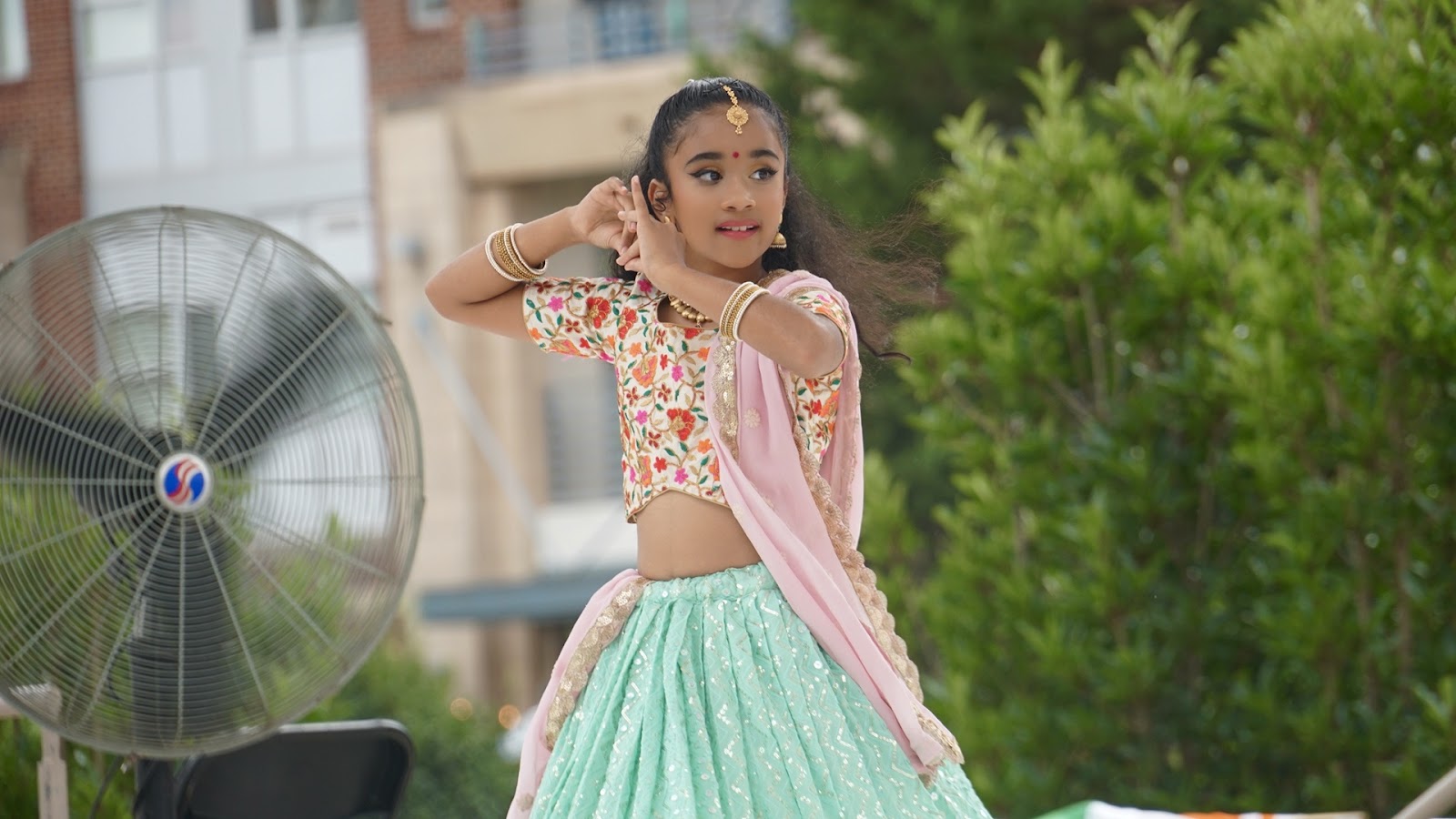 Taal School of Dance and The Indian Arts — Greenville