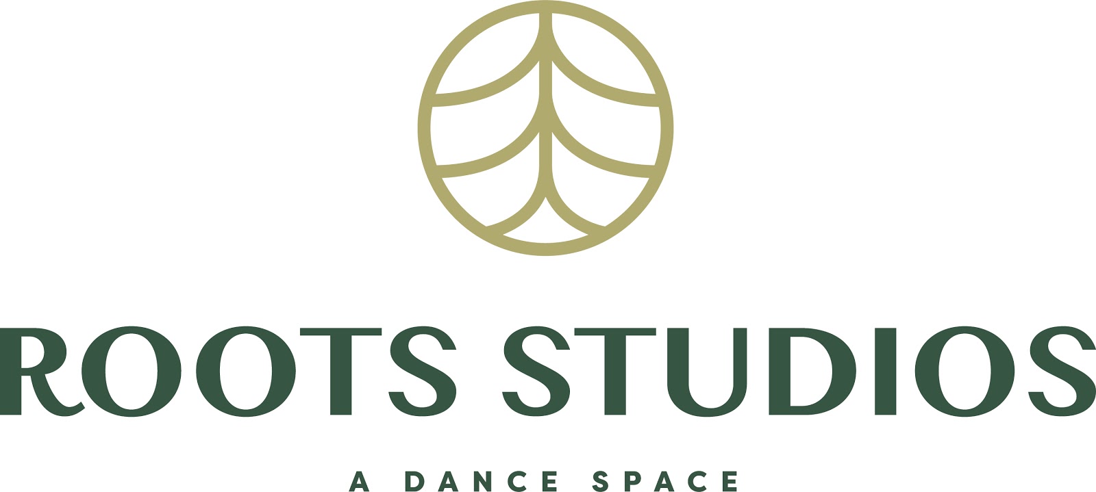 Roots Studios — Aurora