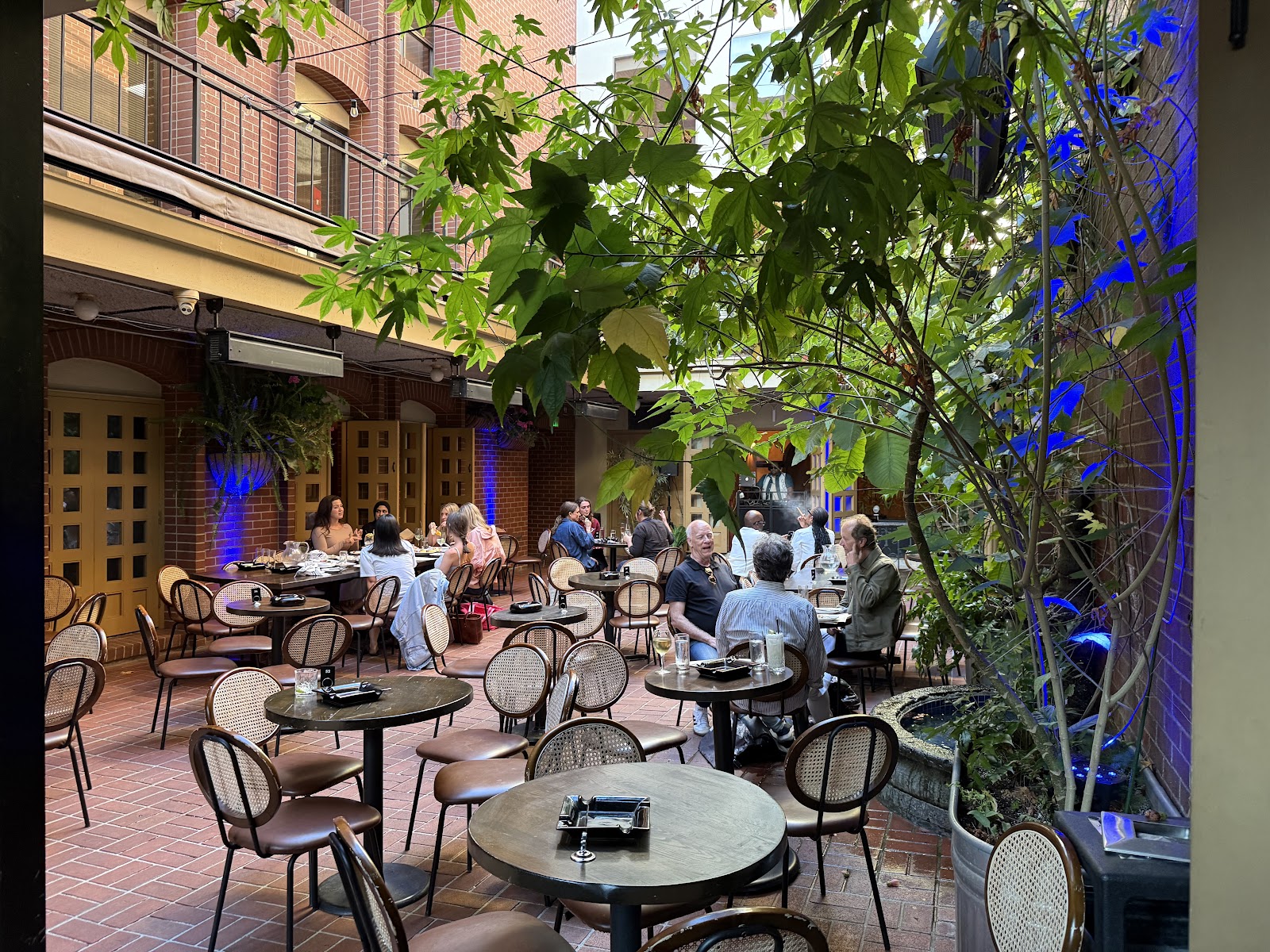 The Cigar Bar & Grill — San Francisco