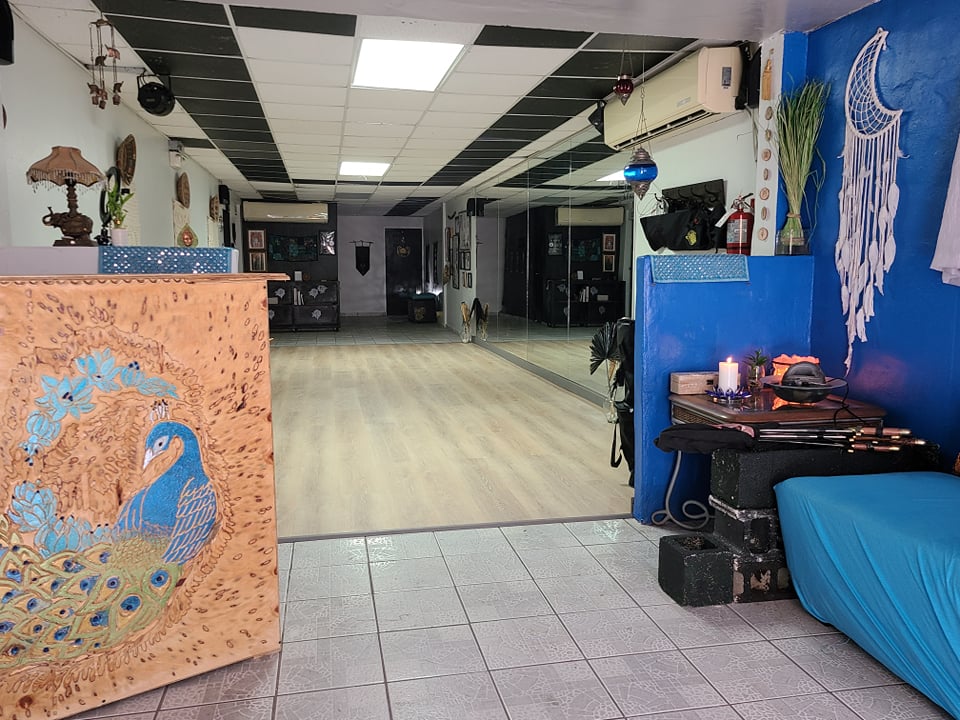 Blue Lotus Studio - Estudio de Baile — San Juan