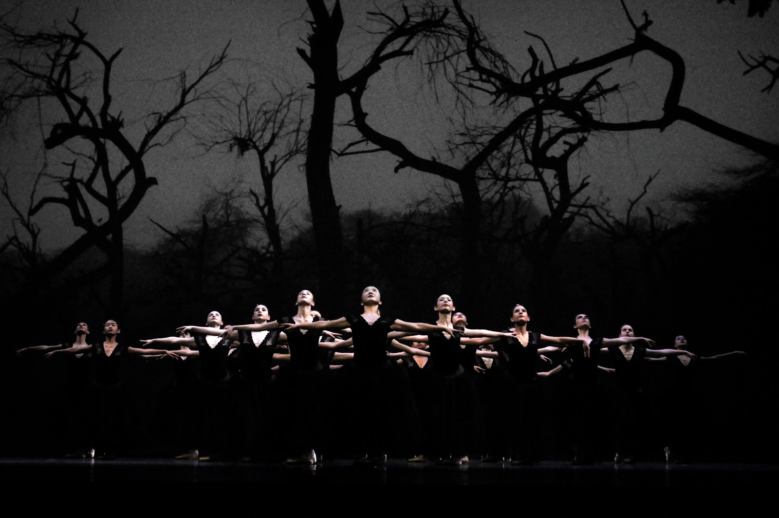 Crescendo Conservatory — Olathe