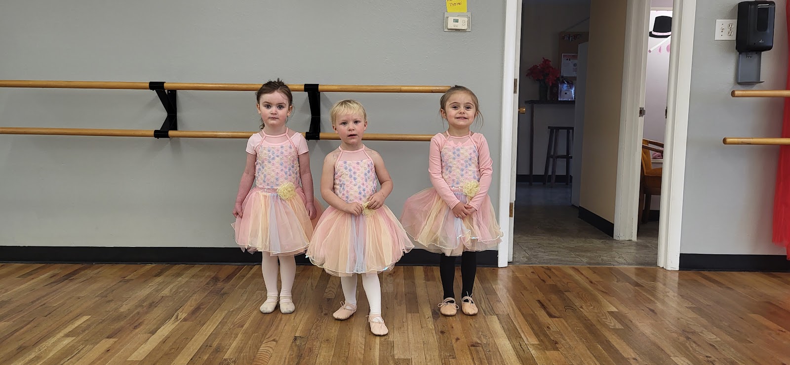 Barbara Ellis Studio of Dance — Colorado Springs