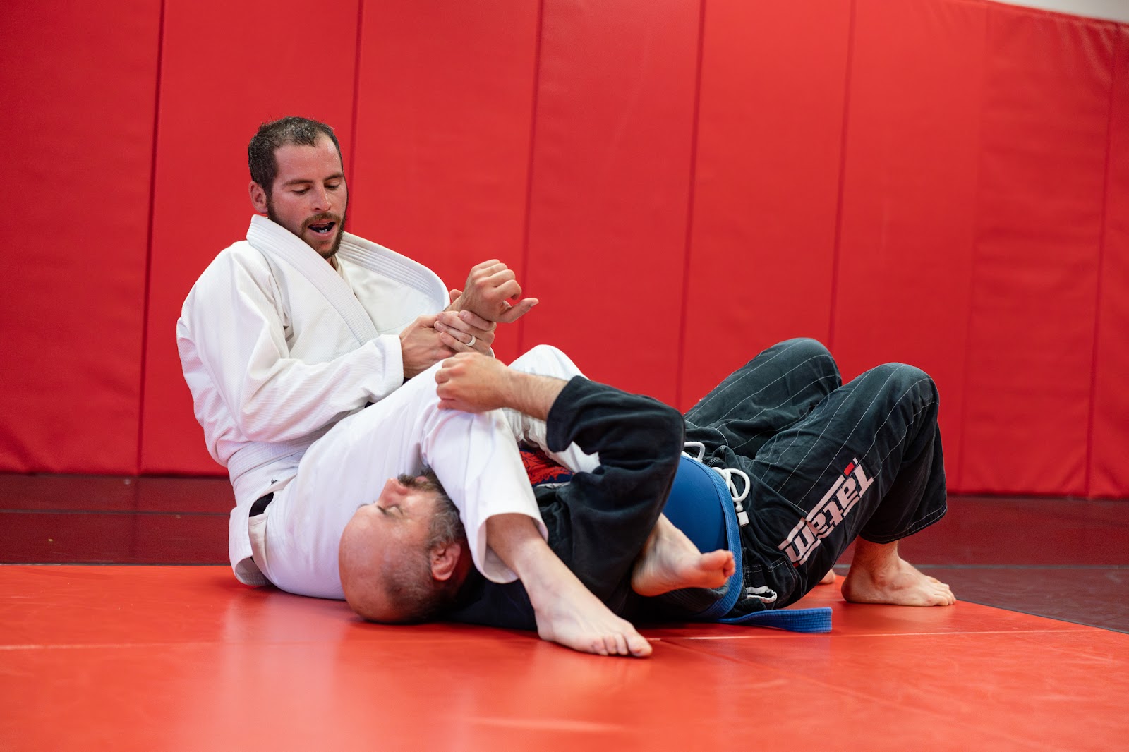 Cavalo BJJ — Columbia