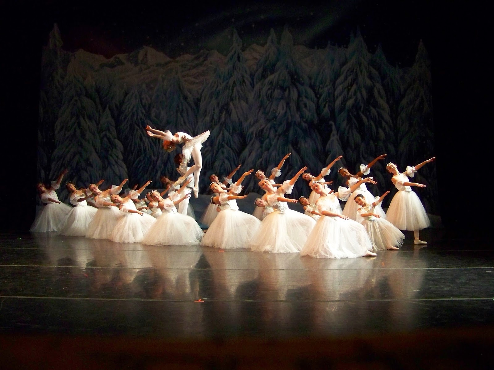 Greater Lansing Academy of Dance — Lansing