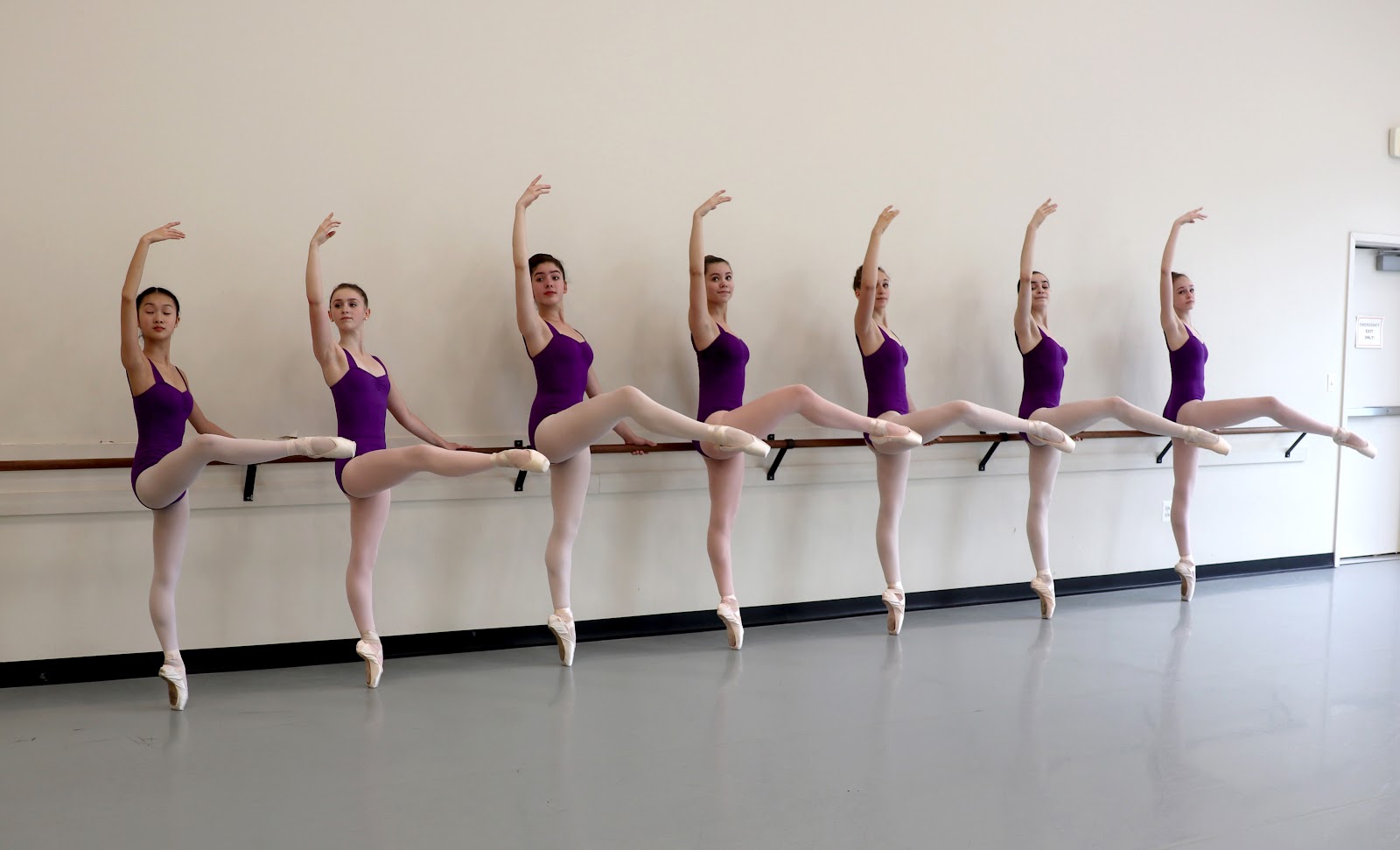 Maryland Youth Ballet — Silver Spring